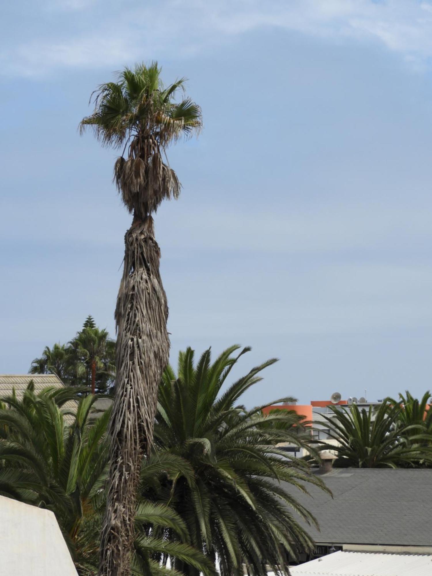 Central Self Catering Swakopmund Eksteriør billede